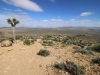 Ryan Mountain 026