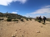 Ryan Mountain 027