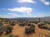 Ryan Mountain 033