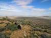 Ryan Mountain 050