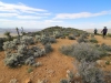 Ryan Mountain 054