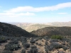 Ryan Mountain 059