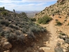 Ryan Mountain 062