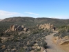 Ryan Mountain 080