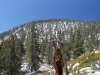 San Jacinto Peak 059.JPG