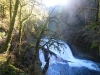 Silver-Falls-SP-0007