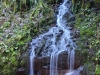 Silver-Falls-SP-0012