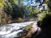 Silver-Falls-SP-0027