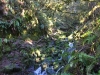 Silver-Falls-SP-0067