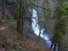 Silver-Falls-SP-0068