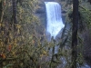 Silver-Falls-SP-0071