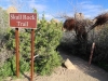 Skull Rock Loop 001