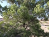Skull Rock Loop 010