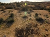 Skull Rock Loop 014