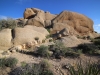 Skull Rock Loop 016