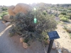 Skull Rock Loop 018