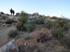 Skull Rock Loop 041
