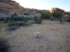Skull Rock Loop 042