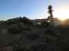 Skull Rock Loop 049
