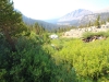 South-Fork-Trail-0020