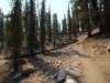 South-Fork-Trail-0044