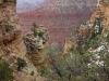 South Rim Tour 0113