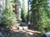 Sunrise to Merced Lake 042
