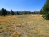 Tuolumne Meadows to Glen Aulin 006