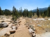 Tuolumne Meadows to Glen Aulin 011