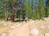 Tuolumne Meadows to Glen Aulin 012