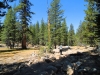 Tuolumne Meadows to Glen Aulin 018