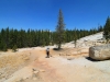 Tuolumne Meadows to Glen Aulin 021