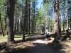 Tuolumne Meadows to Glen Aulin 023