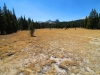 Tuolumne Meadows to Glen Aulin 024