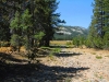 Tuolumne Meadows to Glen Aulin 025