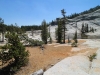 Tuolumne Meadows to Glen Aulin 042