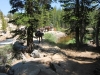 Tuolumne Meadows to Glen Aulin 053