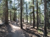 Tuolumne Meadows to Glen Aulin 061