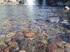 Tuolumne Meadows to Glen Aulin 090