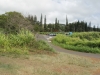 waihee-ridge-002