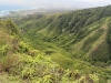 waihee-ridge-029