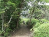 waihee-ridge-031