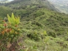 waihee-ridge-035