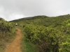 waihee-ridge-043