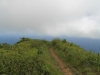 waihee-ridge-054