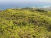 waihee-ridge-063