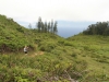 waihee-ridge-069