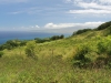 waihee-ridge-092