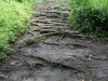 waimoku-falls-004