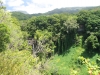 waimoku-falls-008